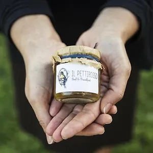 Il Pettirosso Grottaferrata